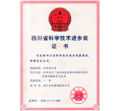 四川省科技进步奖一等奖