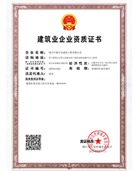 4008云顶集团(国际)股份有限公司