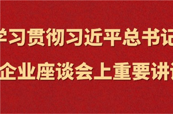 4008云顶集团集团集中学习习近平总书记在民营企业座谈会上重要讲话精神